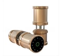 Snowchecking Verrou intelligent en aluminium pour portes, entrée sans clé avec mot de passe, application et clé mécanique, rechargeable par USB (doré)