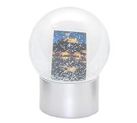 Snowglobe for You 40077 Boule à neige pour photo avec base en plastique Argenté Diamètre 100 mm