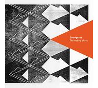 Snowgoose - Making of You [Import]