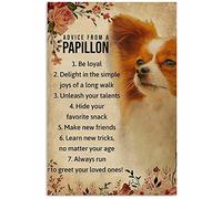 snowsun Plaque en métal « Advice From A Papillon » - Vintage - Amusante - En aluminium - Pour maison, ferme, jardin, bar, extérieur - 20,3 x 30,5 cm