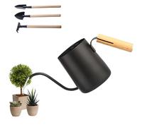 Snowtain 350ML Arrosoir en Acier Inoxydable,avec Trois Outils de désherbage,avec Un Long Bec et Une poignée en Bois Confortable,pour Plantes Extérieures, Plantes Succulentes,Jardins d'herbes