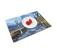Snowy Mountains Lot de 4 sets de table en vinyle résistants à la chaleur infroissables pour table de salle à manger, intérieur/extérieur - 30,5 x 45,7 cm
