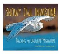 Snowy Owl Invasion by Sandra Markle Sandra Markle (Auteur)