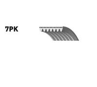 SNR CA7PK1835 Courroie Poly-V
