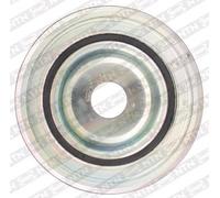 SNR DPF359.17K1 Poulie damper (vilebrequin)