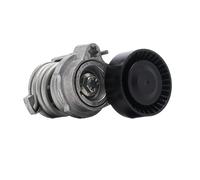 SNR GA350.66 Poulie, tendeur de courroie d'accessoire