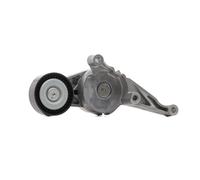 SNR GA357.23 Poulie, tendeur de courroie d'accessoire