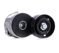 SNR GA380.00 Poulie, tendeur de courroie d'accessoire