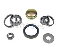SNR Kit de Roulement de Roue Arrière pour Nissan Micra II K11 Fiat Ducato