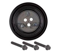 SNR Poulie (vilebrequin) DPF352.10K1