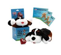 Snuggle Puppy Plus - Jouet en Peluche pour Chien - Soulage l'anxiété et calmant - Jouet Confortable pour l'entraînement comportemental (bernaise)