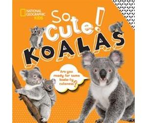 So Cute Koalas by Crispin Boyer Crispin Boyer (Auteur)
