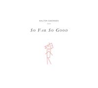 So Far So Good: Walter Swennen