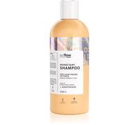 so!flow Medium Porosity Hair Humectant Shampoo shampooing lissant anti-frisottis 400 ml