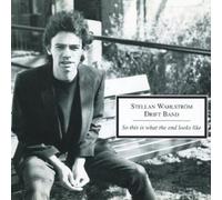 So This Is What The End Looks Like