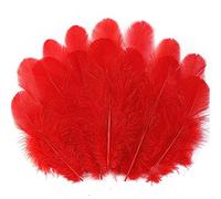 Soarer Red Craft Lot de 300 plumes naturelles de 7,6 à 12,7 cm pour mariage, maison, fête, attrape-rêves et loisirs créatifs (rouge)
