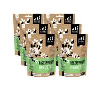 SOBAC Bactériosol® Fertilisant Arbustes Haies et Conifères - 6 sachets de 500 g