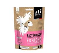 SOBAC Bactériosol® Fertilisant Fraises, petits fruits et arbres fruitiers - sachet 500g
