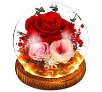 SOBEAU Rose Eternelle Fleur Eternel, Rose Eternelle sous Cloche pour Femme Maman, Noel Saint Valentin Fete Anniversaire, Cadeau Coffret