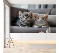 Sobhdga Papier Peint Chat Mignon Cute Cat 200x140, Animal de Compagnie Papier Peint Adhesif Mural, Film Autocollant Meuble Décoratif, Rouleau Autocollant pour Chambre Salon