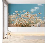 Sobhdga Papier Peint Fleurs Marguerite 350x256, Floral Printemps Plantes Papier Peint Adhesif Mural, Film Autocollant Meuble Décoratif, Rouleau Autocollant pour Chambre Salon
