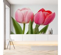 Sobhdga Tulipe Pastel Feuilles Vertes Papier Peint Adhesif Mural, Floral Fleurs Printemps Papier Adhesif pour Meuble, Revêtement Mural Décoratif Impermeable, Pour Cuisine Salle de Bains, 100x100