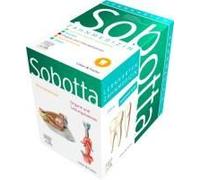 Sobotta Lernkarten Anatomie Für Die Zahnmedizin