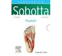 Sobotta Lernkarten Anatomie: Muskeln