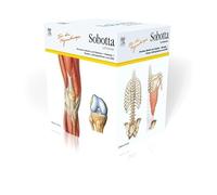 Sobotta Lernkarten für Physiotherapeuten