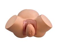 SOBOUR Modèle Mannequin d'accouchement féminin de démonstration modèle de Formation de Sage-Femme avancée simulateur d'accouchement Standard pour l'enseignement médical pour enseigner