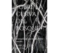 SOBRE LA CURVA DEL BOSQUE: El único lugar que no escuchó tu canción