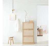 SoBuy Armoire à Chaussures 3 Portes, Meuble d'Entrée, 60x24x118 cm