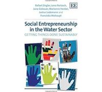 Social Entrepreneurship in the Water Sector: Getting Things Done Sustainably - [Livre en VO] R Ziegler, Lena Partzsch, Jana Gebauer, Marianne Henkel, Justus Lodemann, Franziska Mohaupt (Auteur)