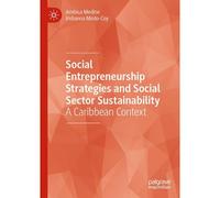 Social Entrepreneurship Strategies And Social Sector Sustainability