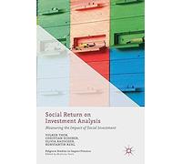 Social Return On Investment Analysis
