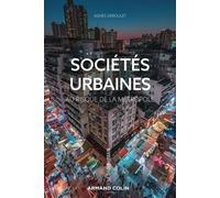 Sociétés urbaines Au risque de la métropole - Agnès Deboulet - Armand Colin - broché - Essai