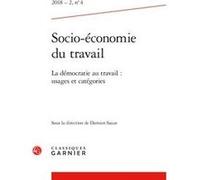 Socio-économie du travail Damien Sauze (Collection dirigée par), Damien Sauze (Editeur en chef), Collectif (Auteur)