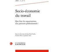 Socio-économie du travail Damien Sauze (Direction), Collectif (Auteur)