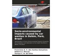 Socio-environmental impacts caused by car washes in Belém, Pará, Brazil