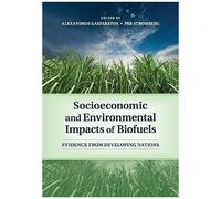 Socioeconomic and Environmental Impacts of Biofuels : Evidence from Developing Nations - [Version Originale] Edited By Alexandros Gasparatos , Edited By Per Stromberg (Auteur)