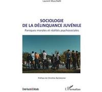Sociologie de la délinquance juvénile: Paniques morales et réalités psychosociales