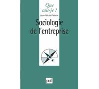 Sociologie de l'entreprise - Jean-Michel Morin - Que Sais-Je - Poche - Etude