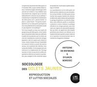 Sociologie Des Gilets Jaunes - Reproduction Et Luttes Sociales