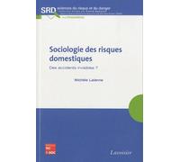 Sociologie Des Risques Domestiques - Des Accidents Invisibles ?