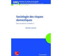 Sociologie des risques domestiques. Des accidents invisibles ? Franck Guarnieri (Auteur), Michèle Lalanne (Auteur)