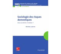 Sociologie des risques domestiques des accidents invisibles - Lalanne - Technique Et Documentation - broché - Livre