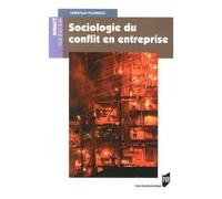 Sociologie Du Conflit En Entreprise