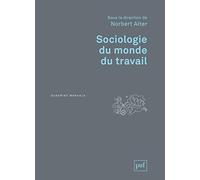 Sociologie Du Monde Du Travail