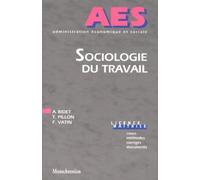 Sociologie du Travail : Cours, méthodes, corrigés, documents, licence - maîtrise