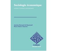 Sociologie économique - Histoire et courants contemporains: Histoire et courants contemporains